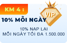 Ngày Hội VIP